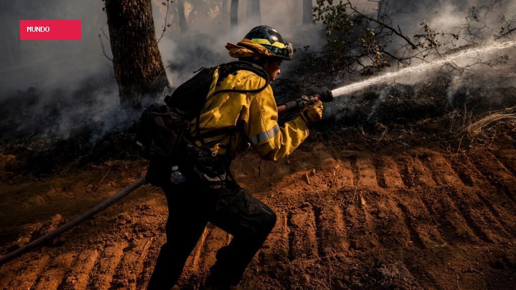 Europe’s wildfires: How prepared are we for the next fire?