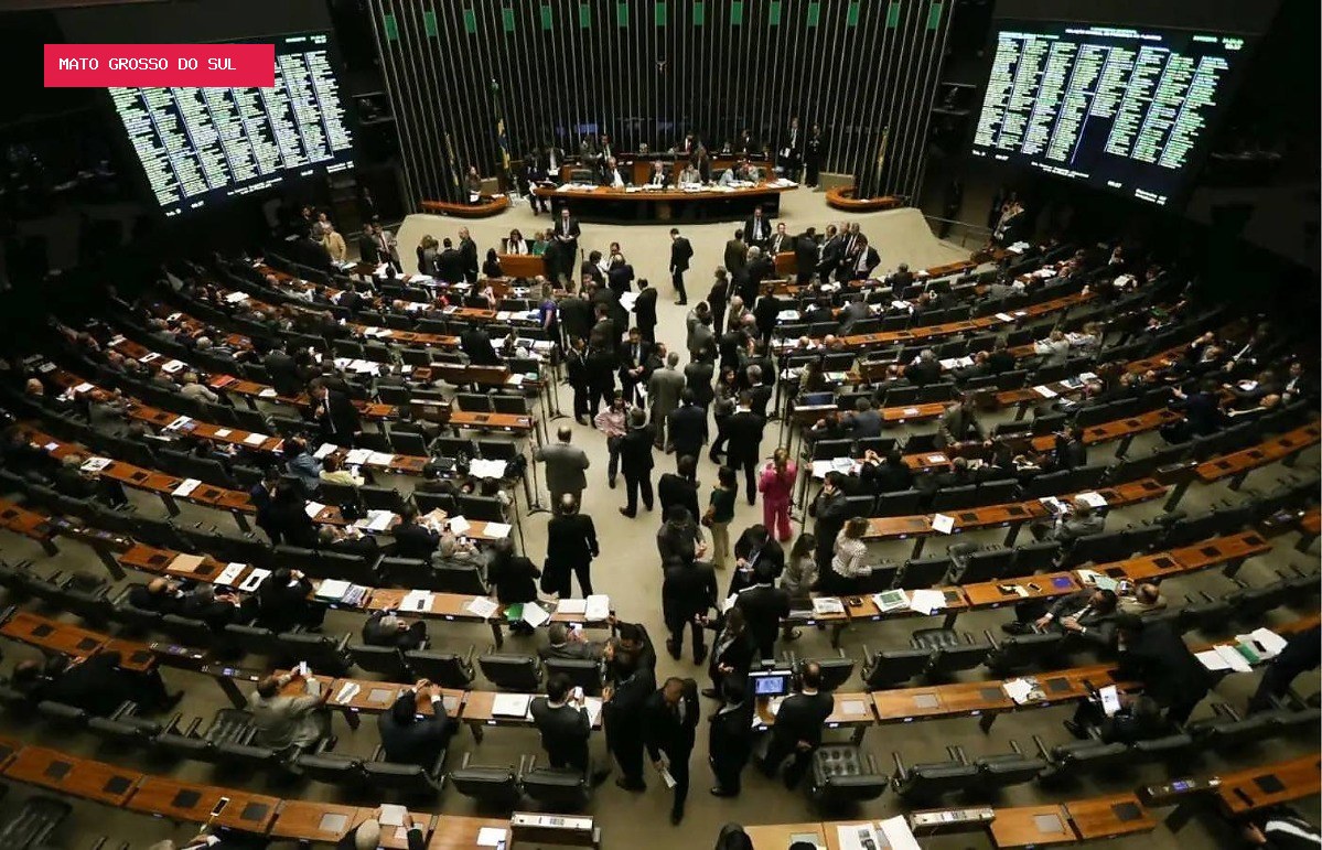 Peso do voto: estados têm representação desigual na Câmara e no Senado