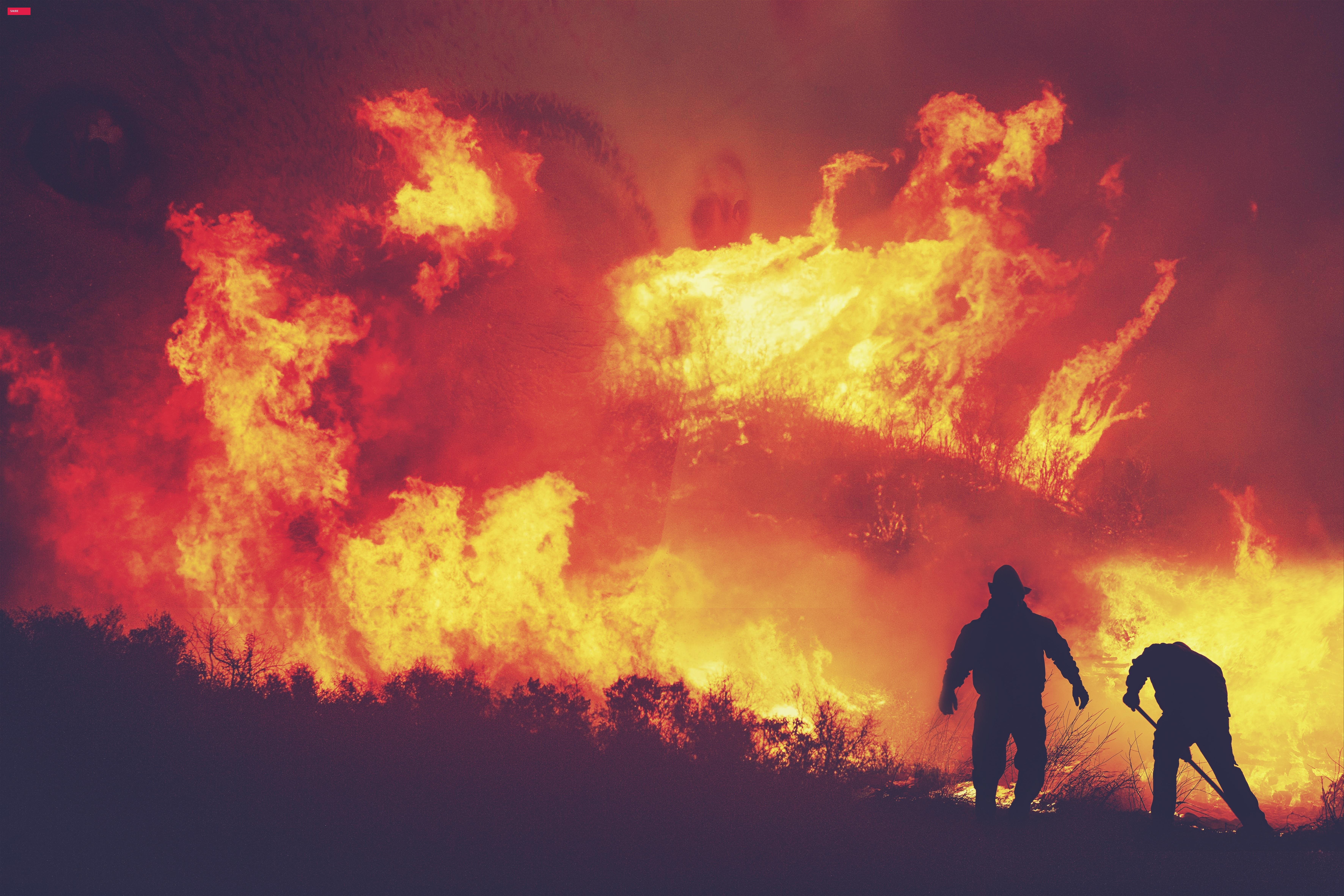 Por que a poluição dos incêndios florestais é tão perigosa para todos?