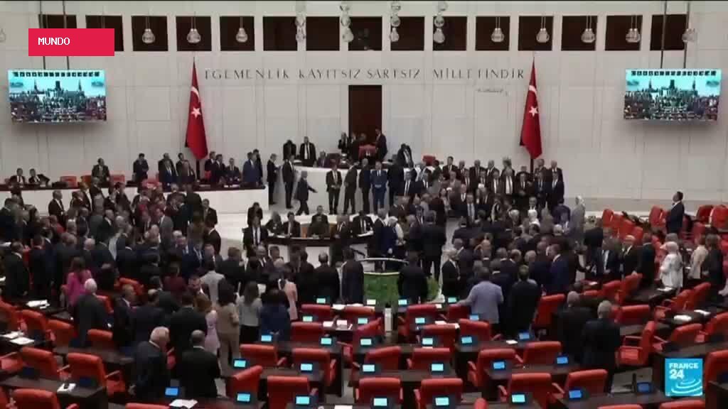 Turkey MPs back law on reintegrating Kurdish PKK militants