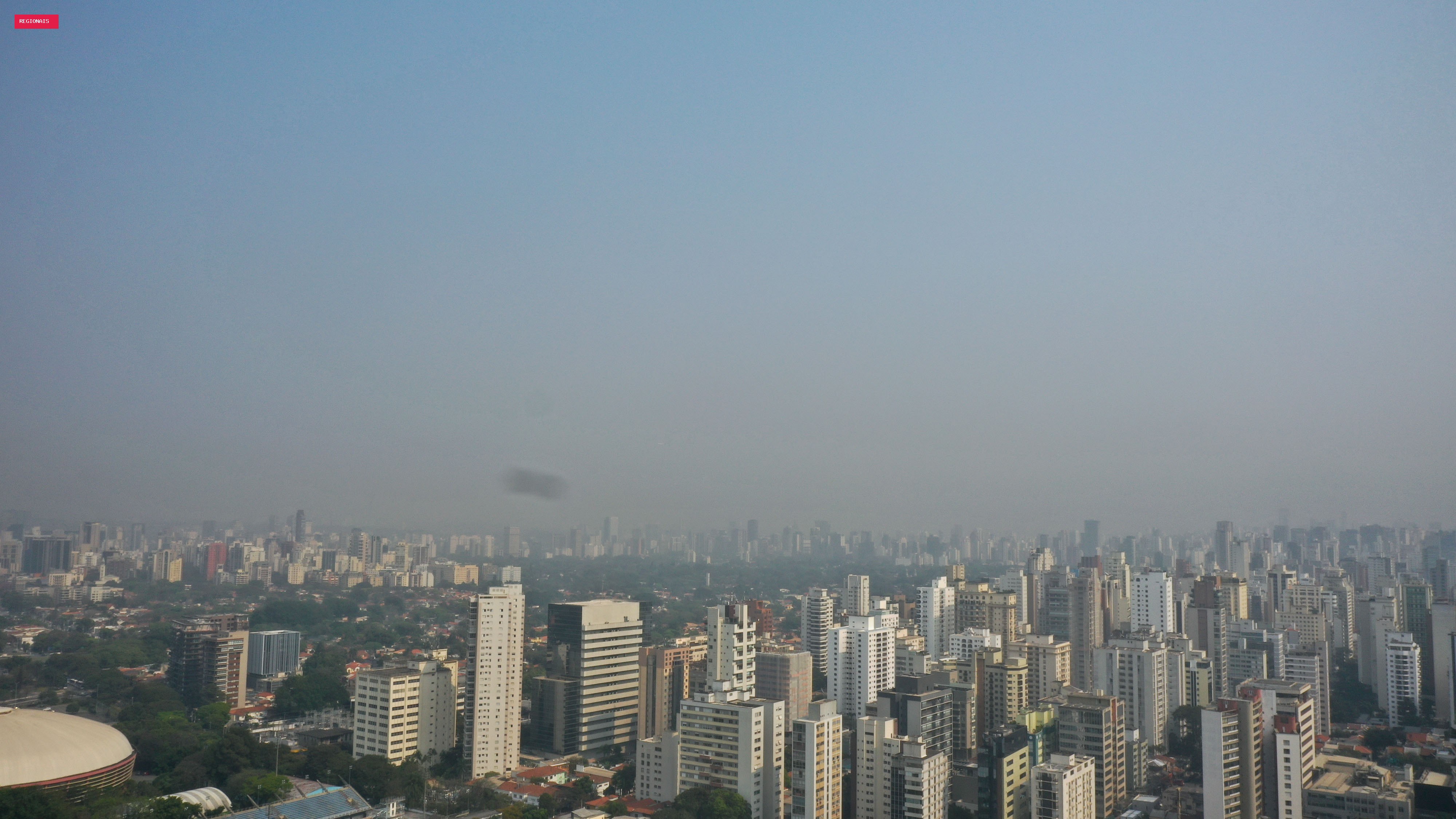 Eleições em SP: o que cabe ao governo do estado no Meio Ambiente