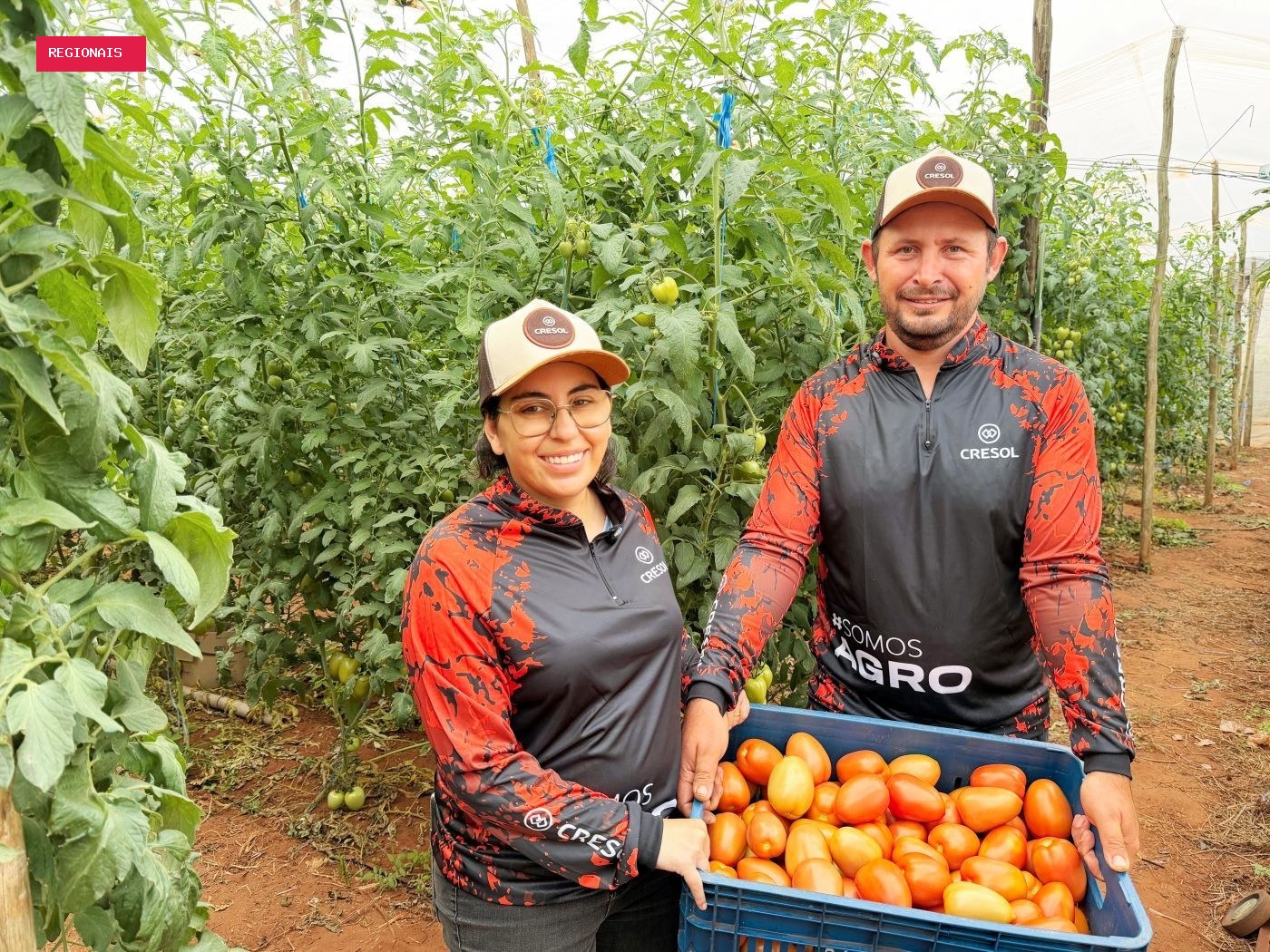 Cresol oportuniza recomeço para casal que encontrou no campo um novo caminho