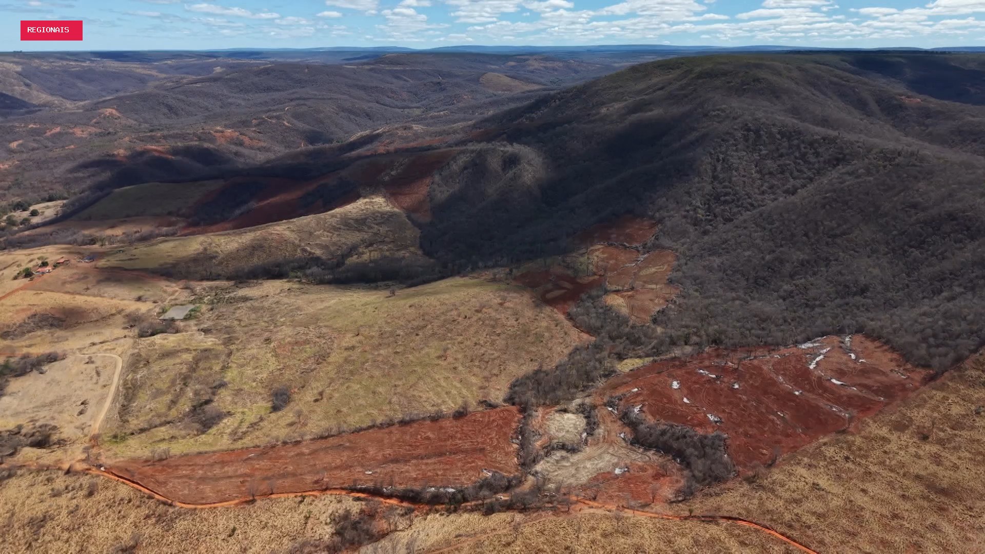 Desmatamento ilegal destruiu área equivalente a mais de 4 mil campos de futebol em MG, aponta operação