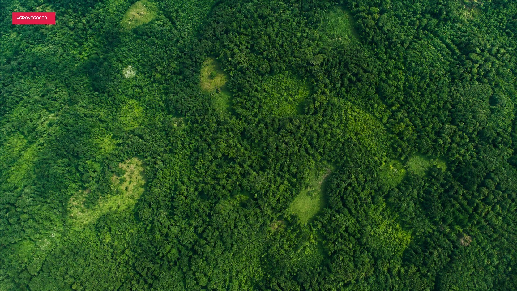Desmatamento na Amazônia recua 36,87% no ciclo 2025/2026