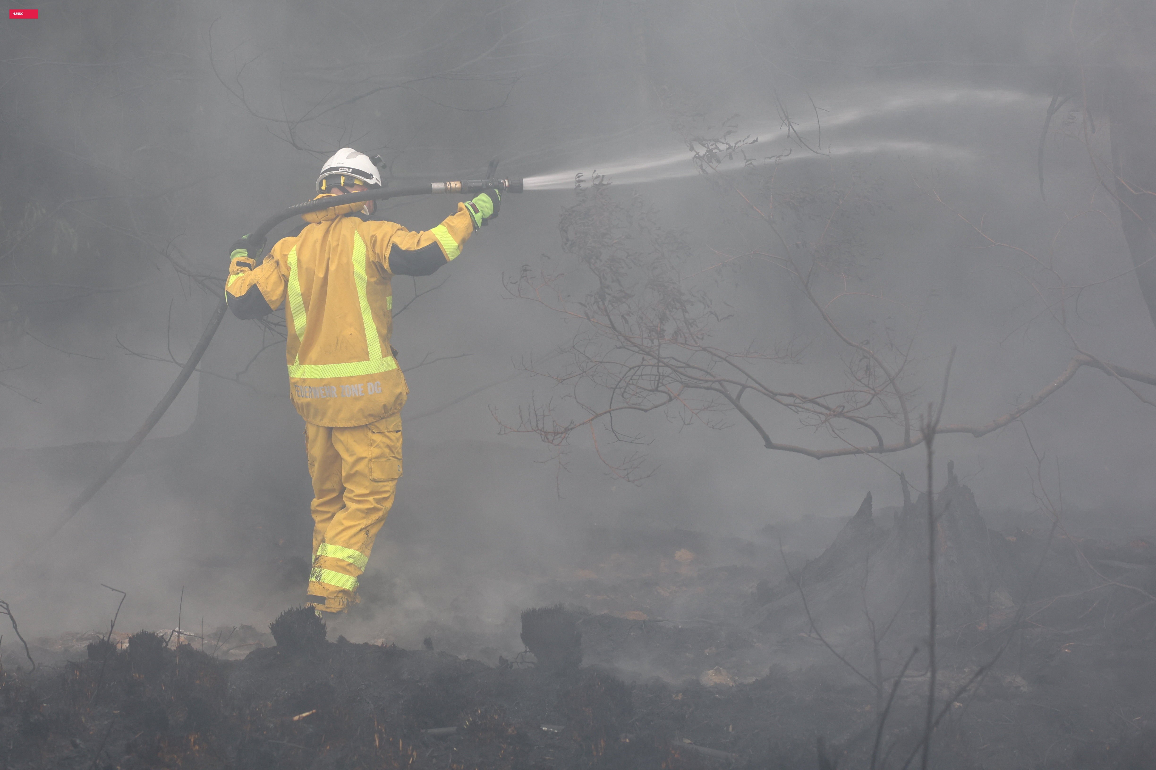 Europa enfrenta incêndios florestais: Bélgica, Grécia, Espanha, França e Portugal lutam contra o fogo
