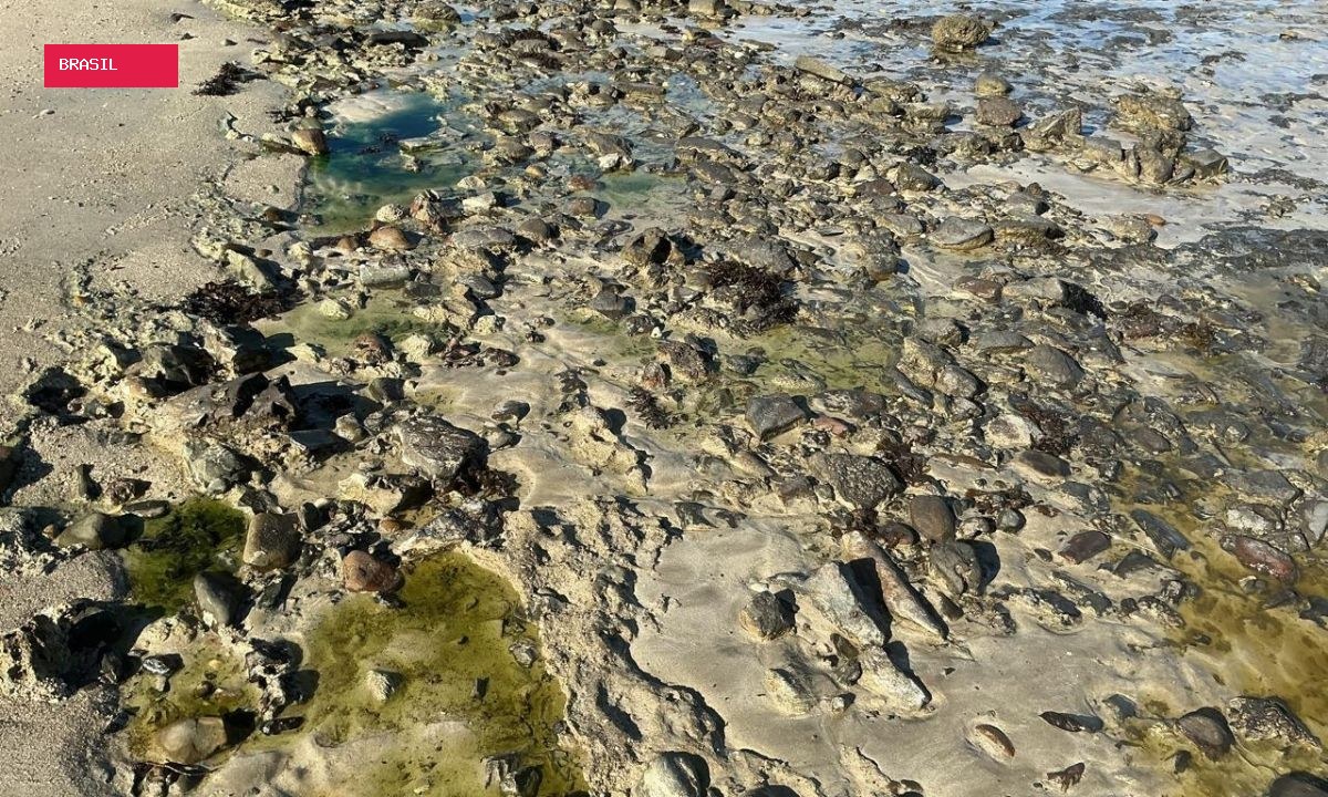 Prefeitura de Salvador prorroga situação de emergência da praia de São Tome de Paripe; área está