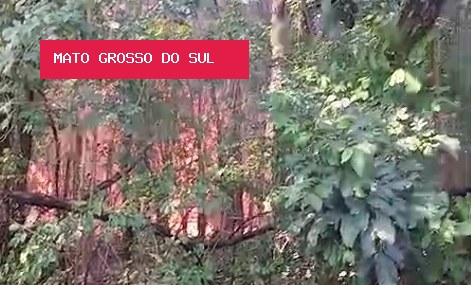 Incêndio avança sobre casas e assusta moradores no Jardim Ametista