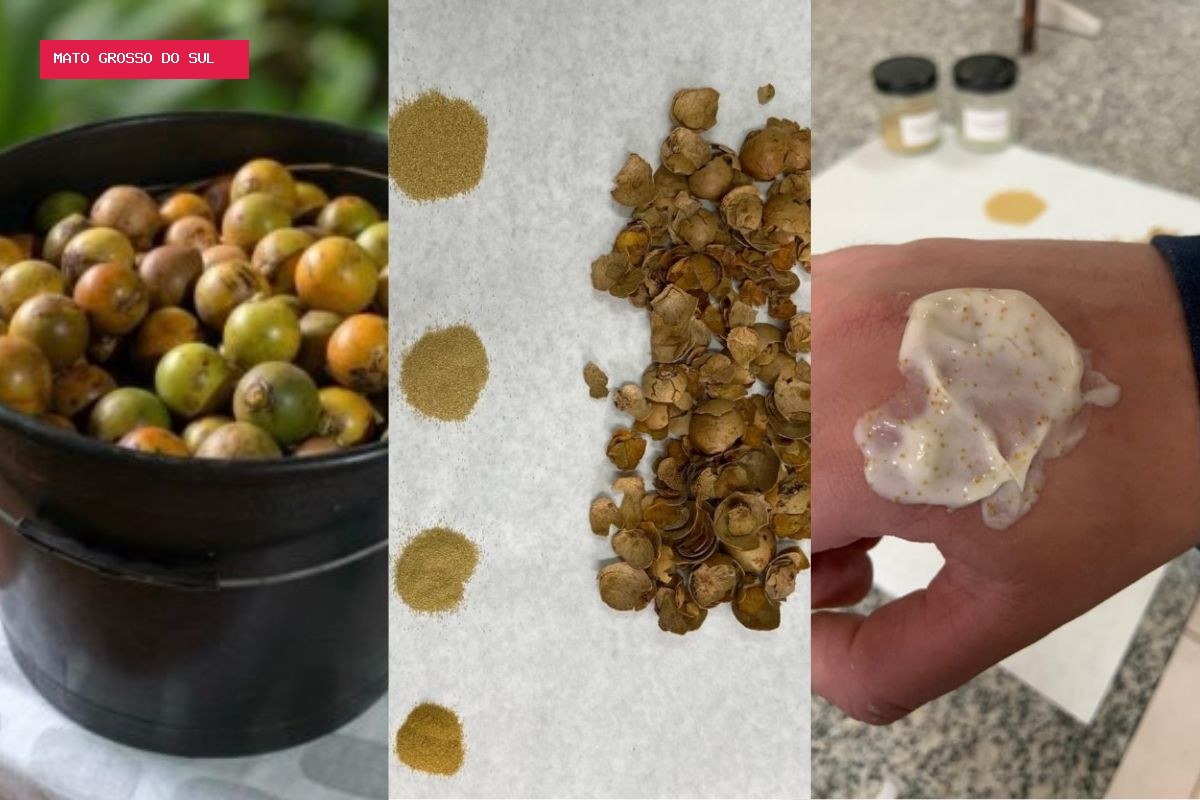 A fruta do Cerrado que ganhou nova vida com criação de cosmético sustentável