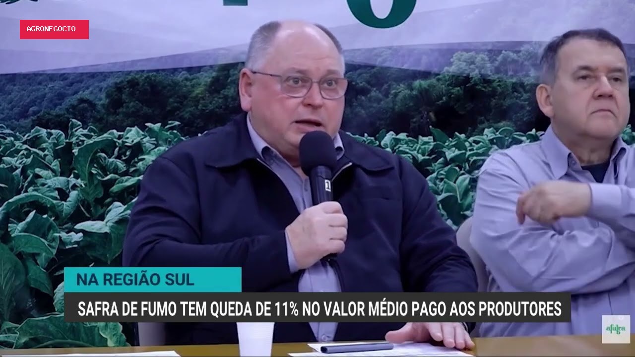Queda no valor pago aos produtores de tabaco exige cautela para próxima safra