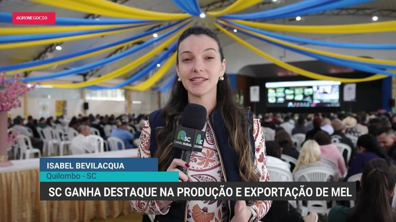 Santa Catarina se destaca na produção e exportação de mel em 2026