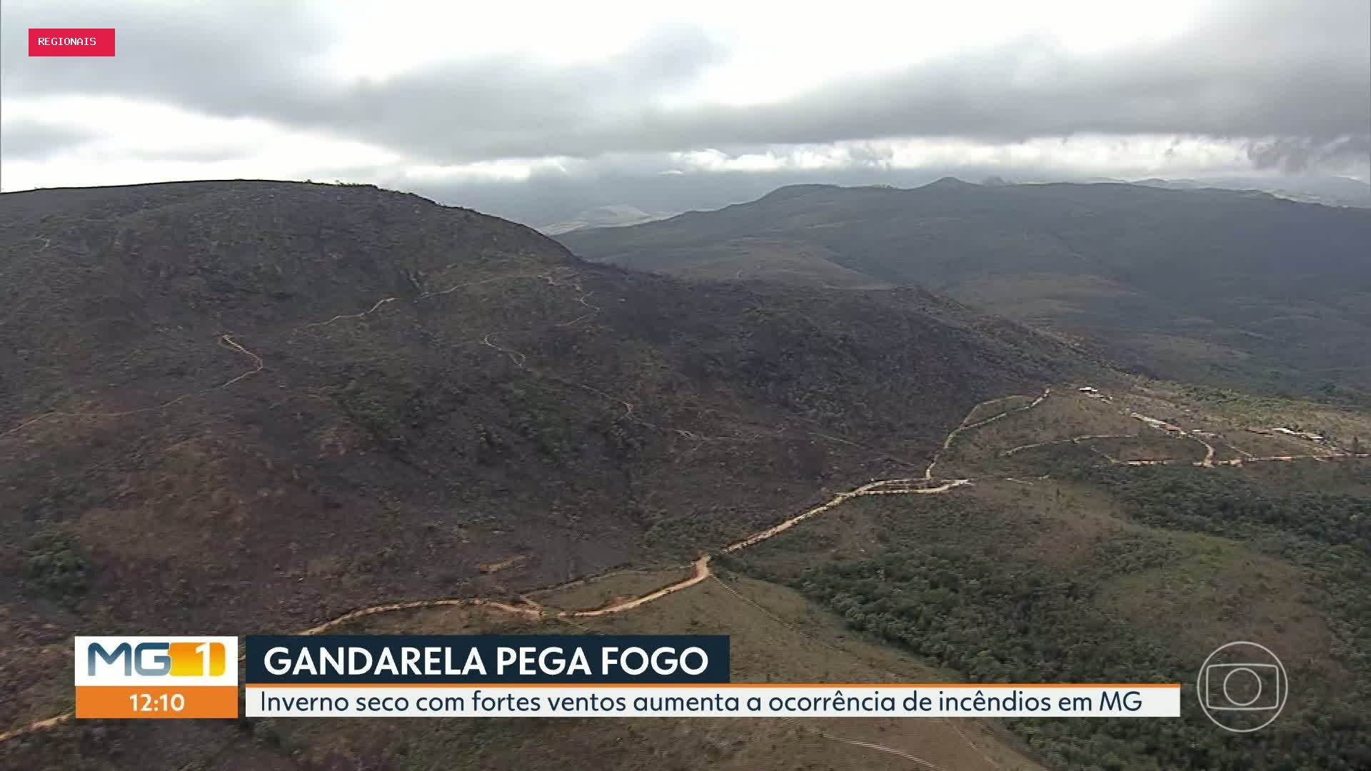 MG1 de terça-feira, 11 de agosto de 2026