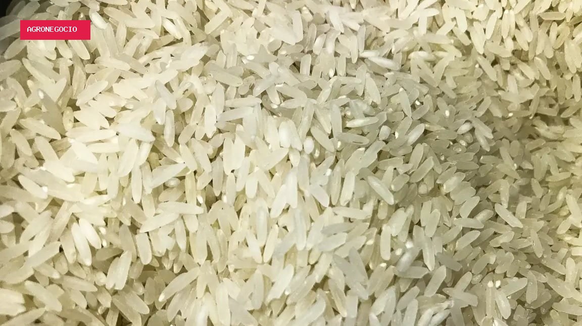 Produtores de arroz seguram vendas à espera de R$ 80 por saca no RS