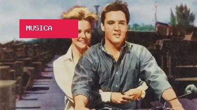 Morre Shelley Fabares, de ‘The Donna Reed Show’ e ‘Coach’, aos 82 anos