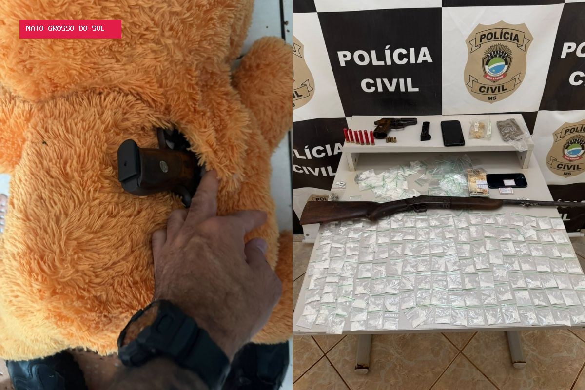 Polícia encontra arma escondida em urso de pelúcia durante operação em MS; 5 são presos
