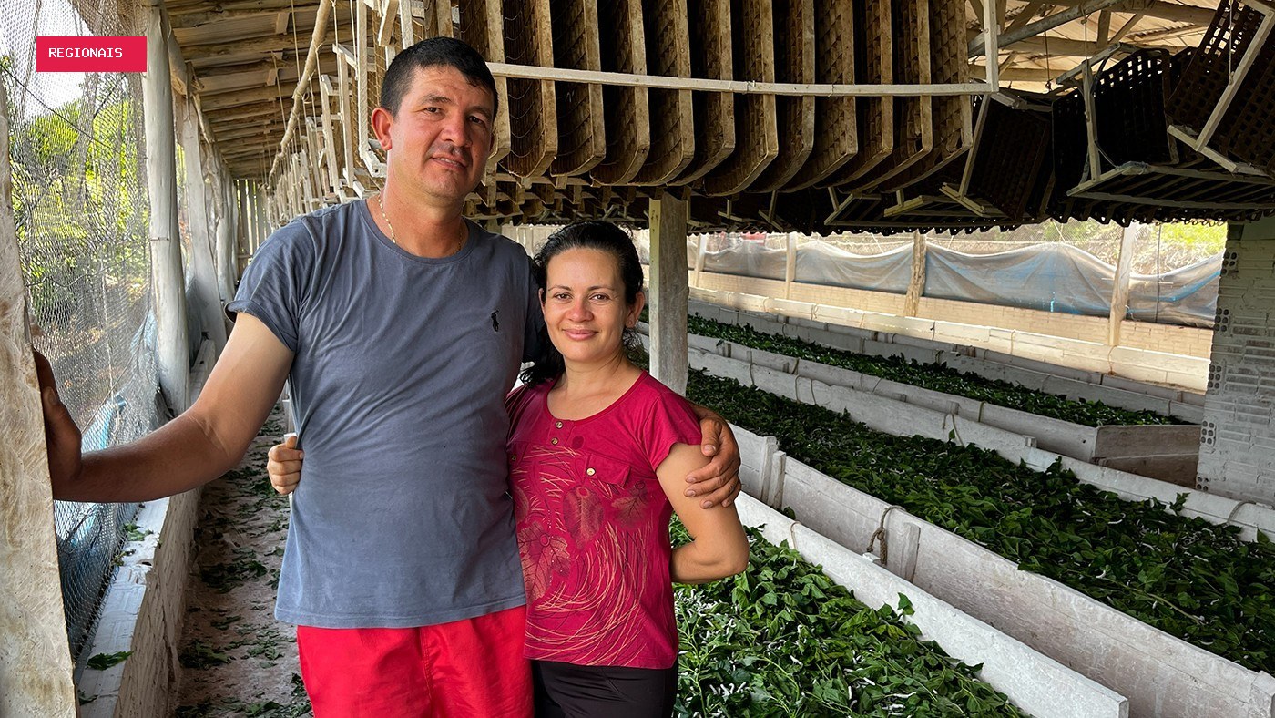 O fio que une o campo à alta costura