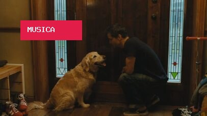 O cachorro sobrevive em ‘A Última Casa’, filme com Wagner Moura?