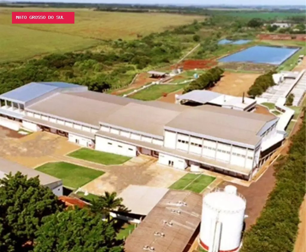 Frigorífico Balbinos: disputa por arrendamento em Sidrolândia gera tensão em processo de falência