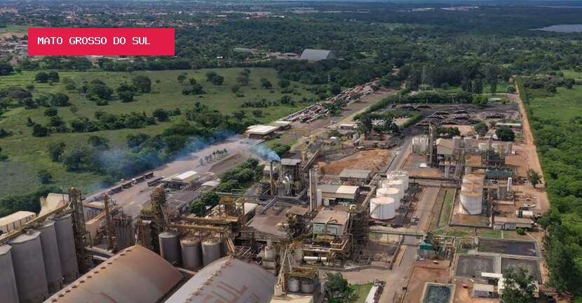 Produção de biodiesel cresce 32% em MS e supera 31 milhões de litros