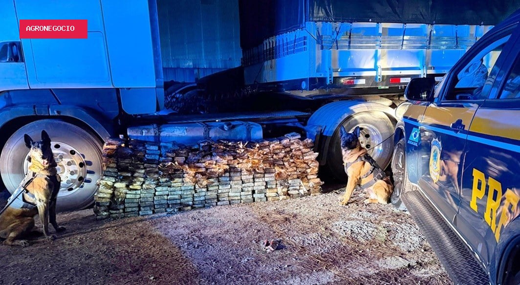 Cães farejadores ajudam a encontrar 298 kg de cocaína em tanque de combustível