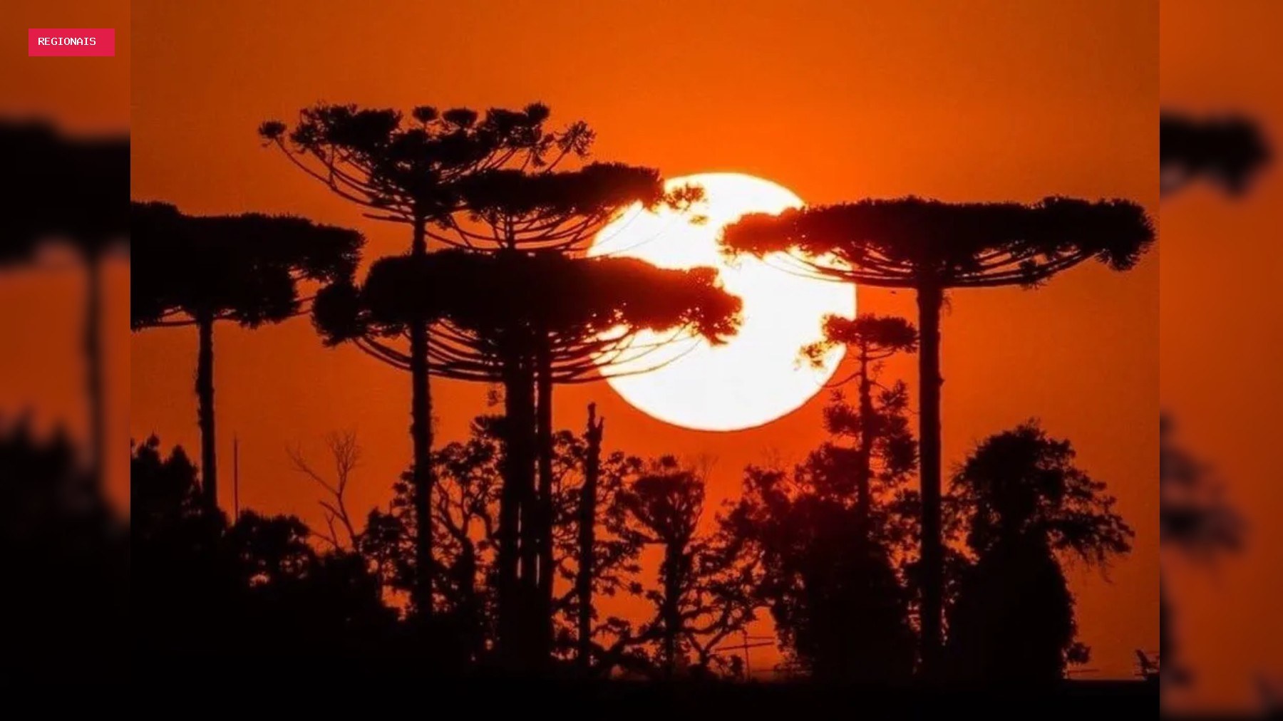 Paraná entra em nova onda de calor