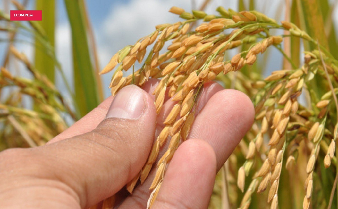 Super El Niño deve pressionar inflação dos alimentos em 2027; feijão e arroz lideram alta