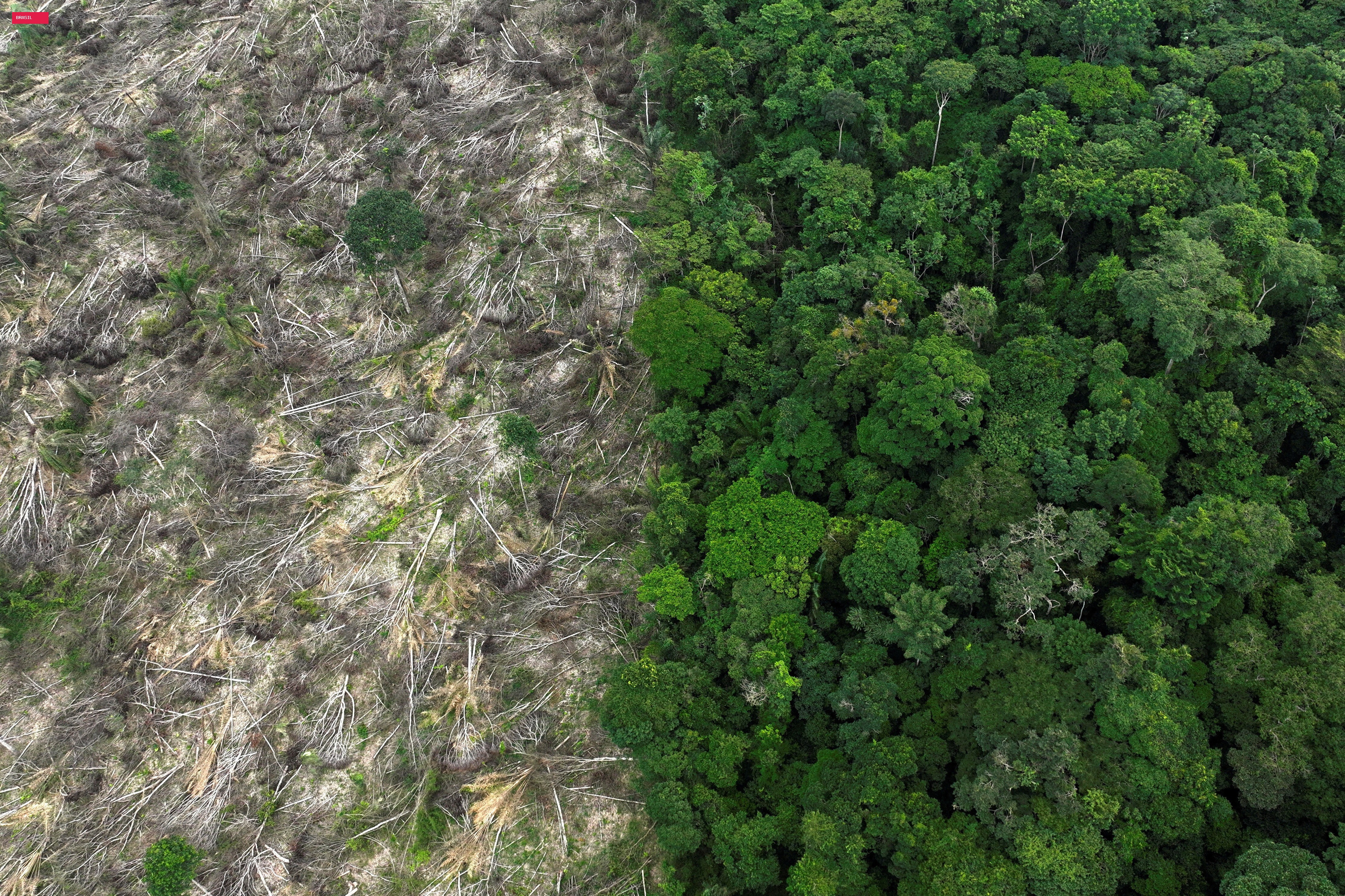 Inpe: Alertas de desmatamento caem 36,9% na Amazônia e 7,8% no Cerrado