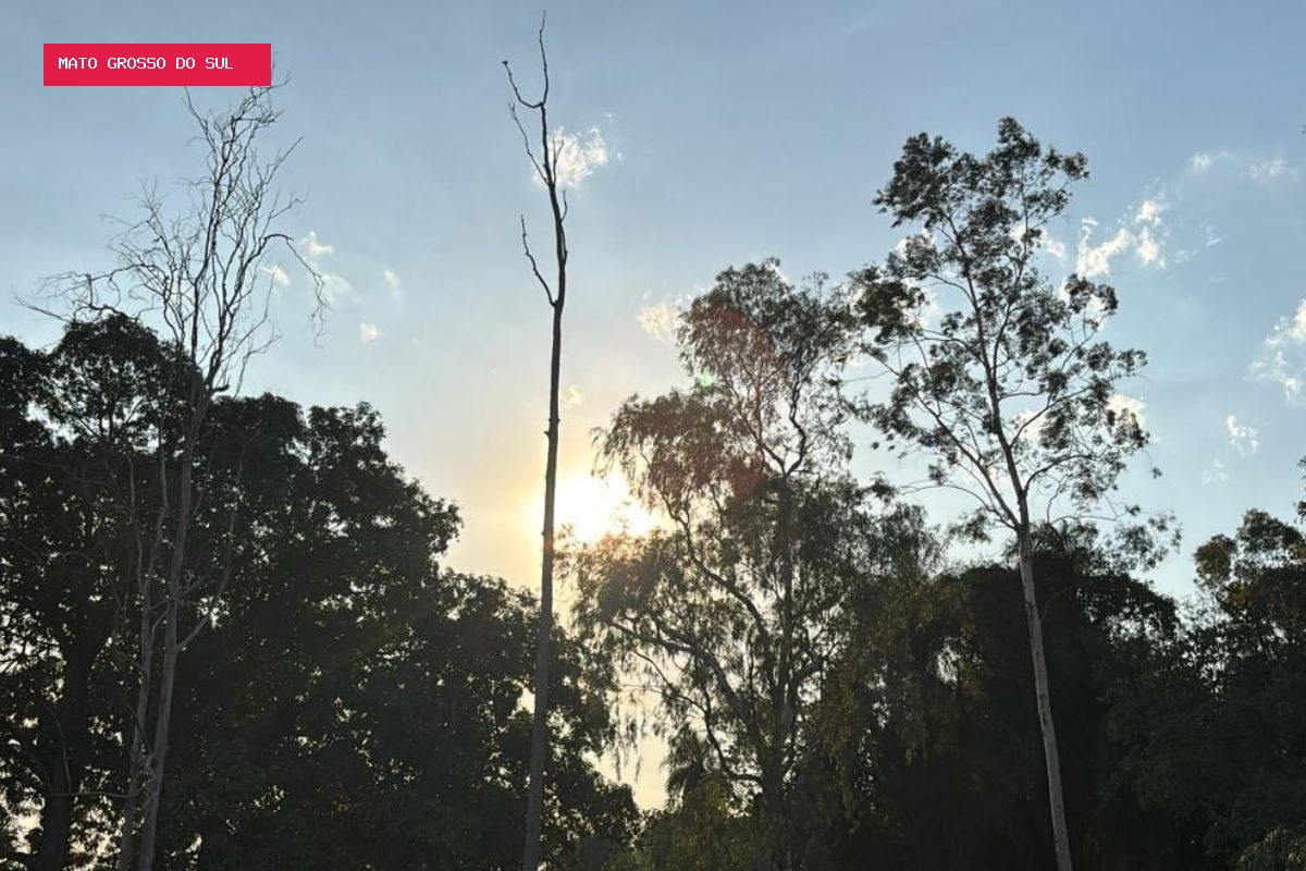Alerta de tempestade em Campo Grande prevê chuva forte, raios e possibilidade de granizo