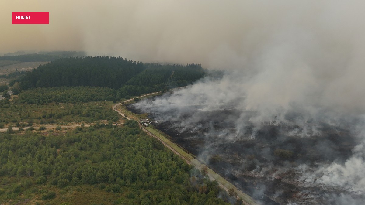 Drone captura maior incêndio florestal da história da Bélgica