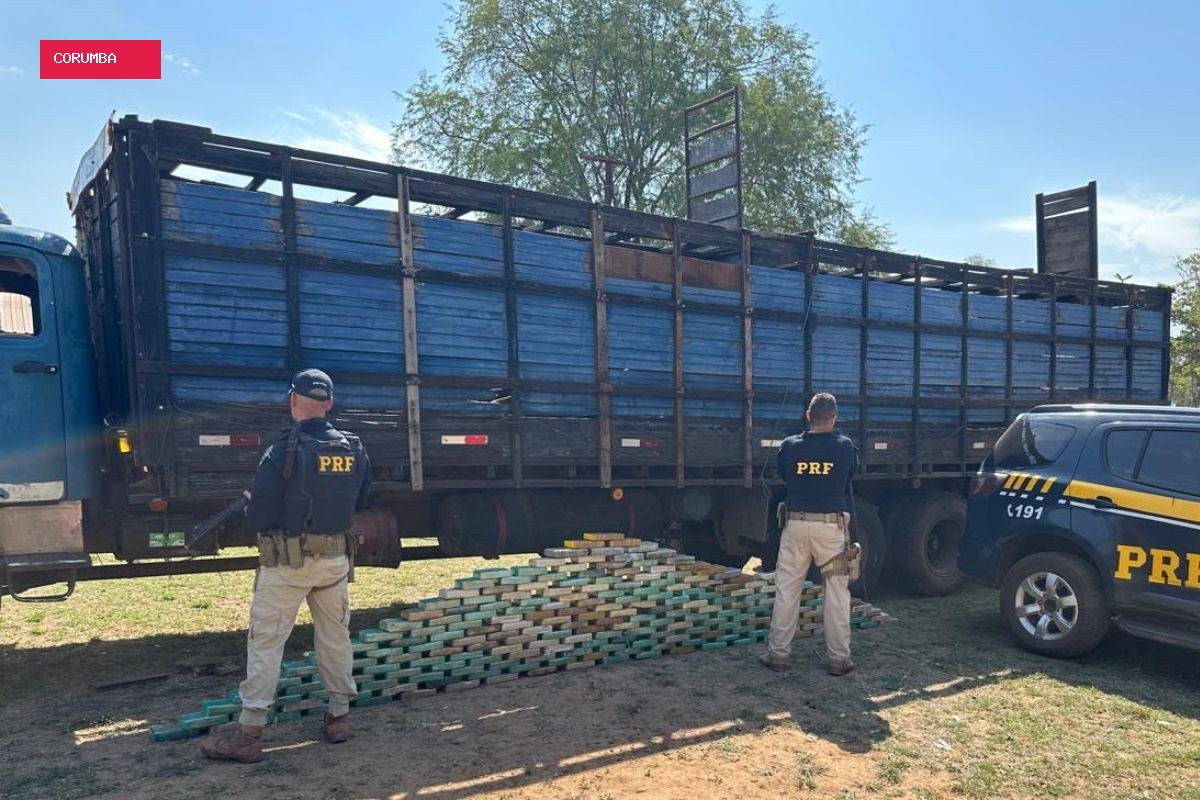Caminhoneiro é preso com quase 200 kg de cocaína escondida embaixo de gado em MS