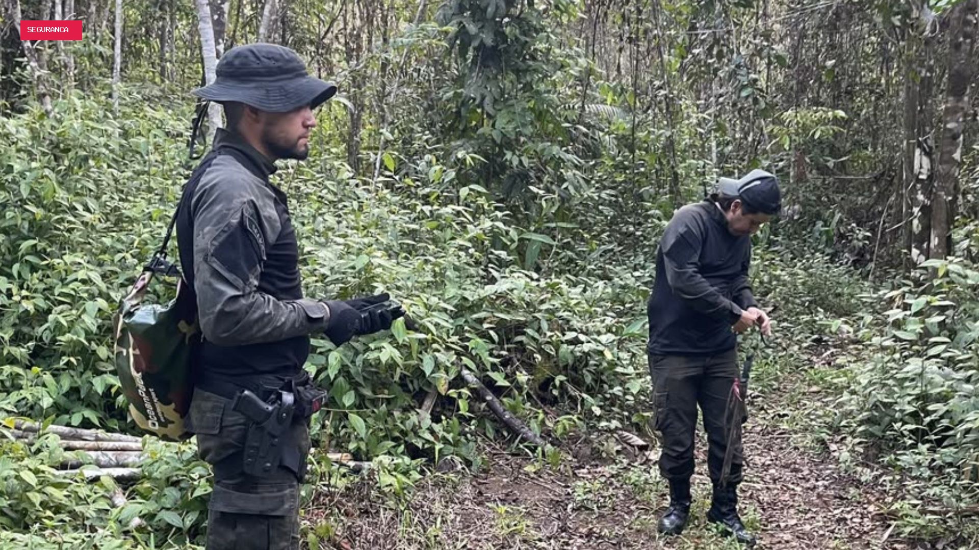 Combate ao desmatamento no AP resulta em prisões e apreensão de armas