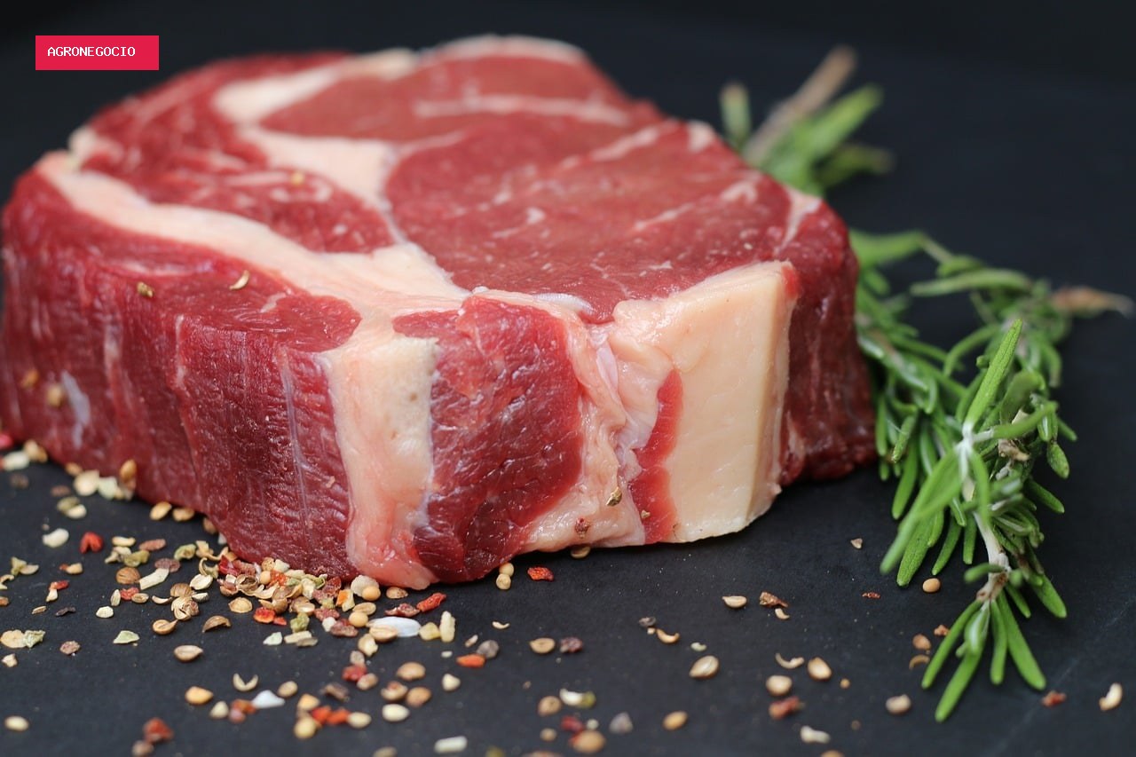 China alerta que Brasil atingiu 90% da cota de exportação de carne bovina
