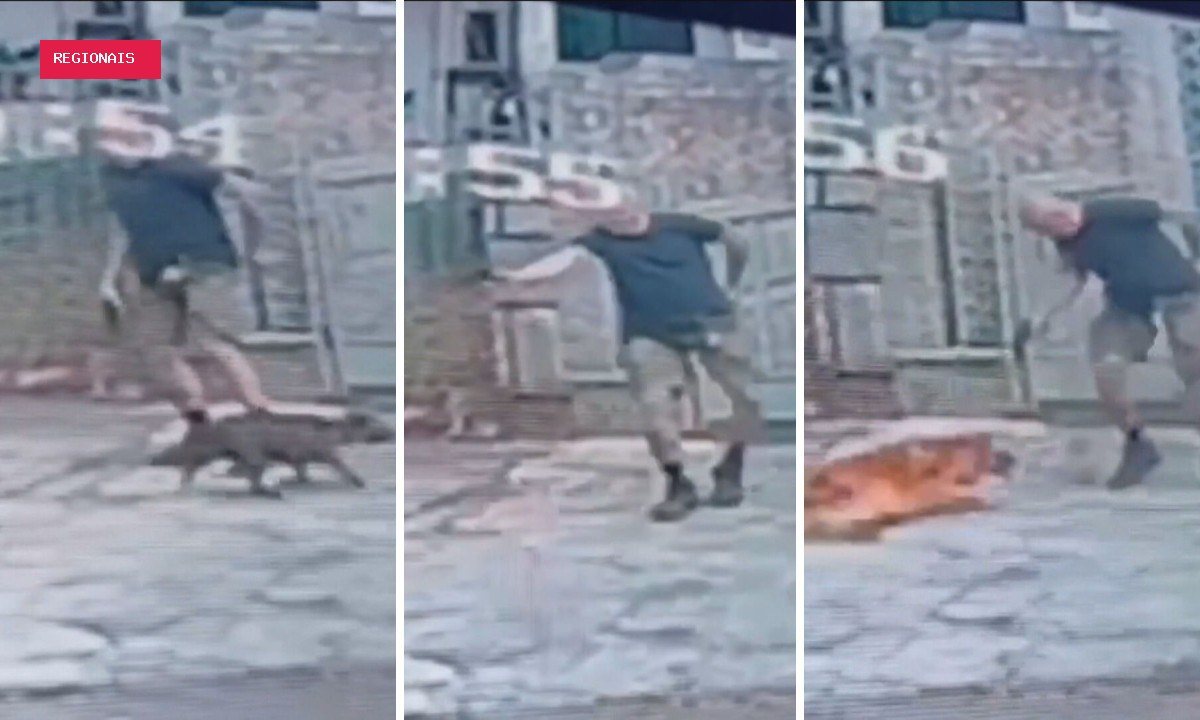 Cachorro é morto a tiros após se aproximar de homem que passeava com outro cão na Tijuca