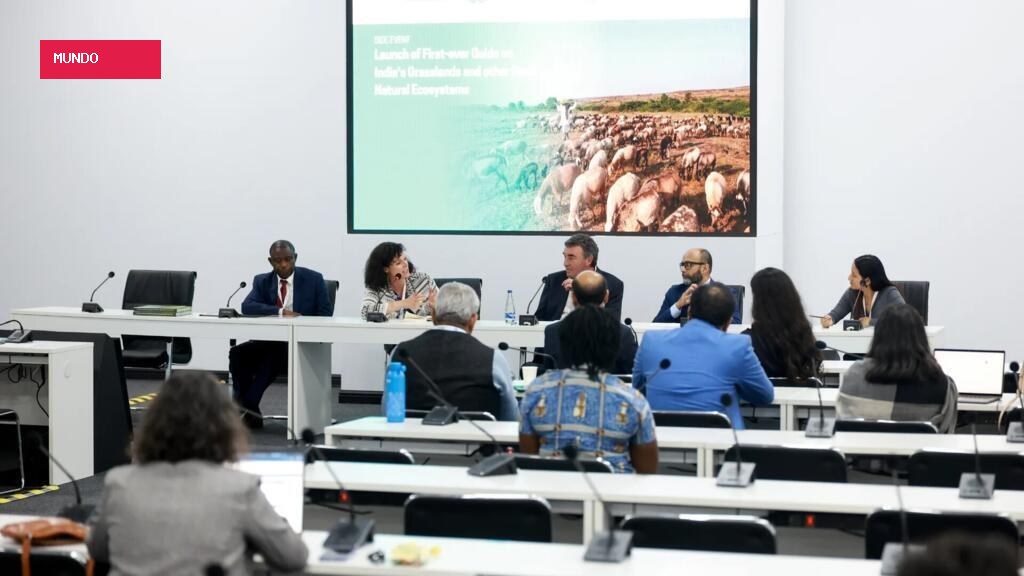 COP17 abre na Mongólia sob alerta global: desertificação já ameaça até a França