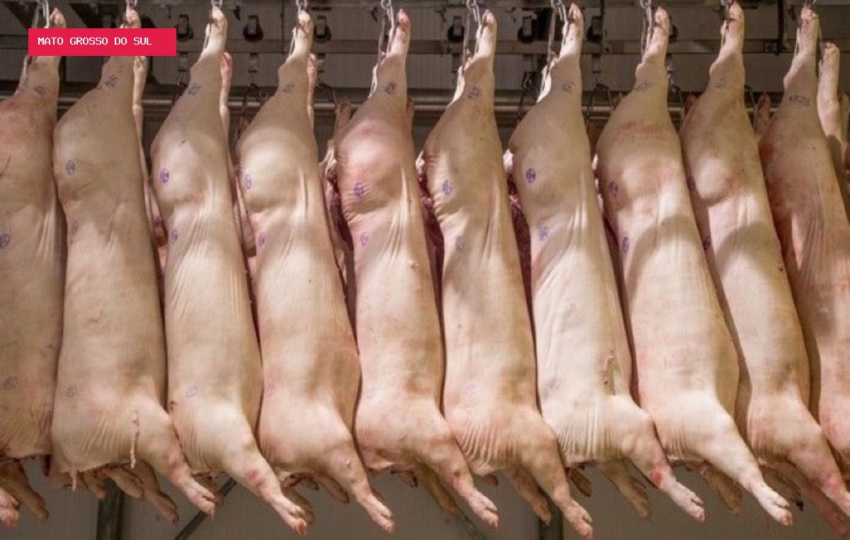Exportações de carne suína recuam em julho com menor demanda asiática
