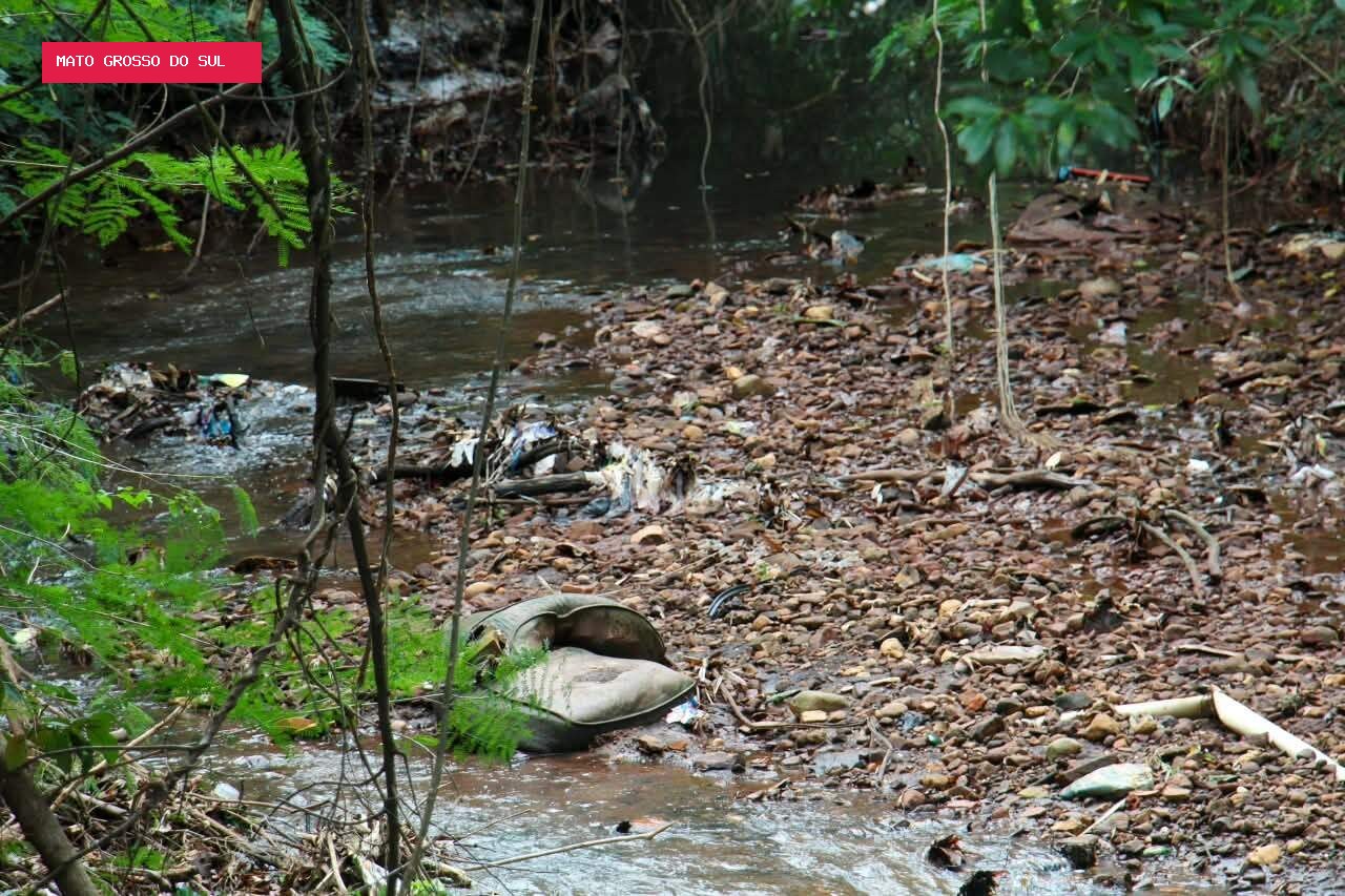 Sofás, animais mortos e água verde dividem espaço com caminhada no Imbirussu
