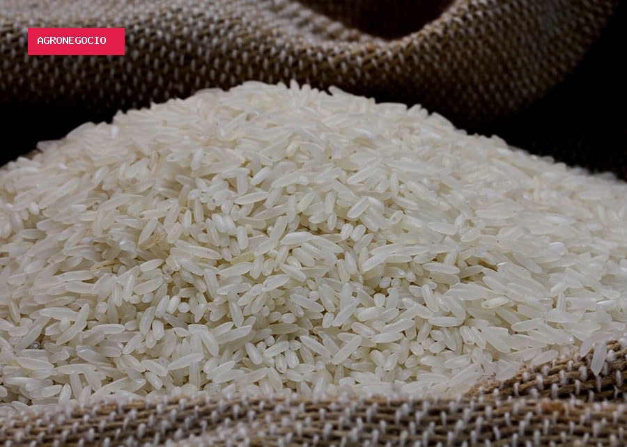 Arroz sobe no Rio Grande do Sul com oferta restrita e produtor fora do mercado
