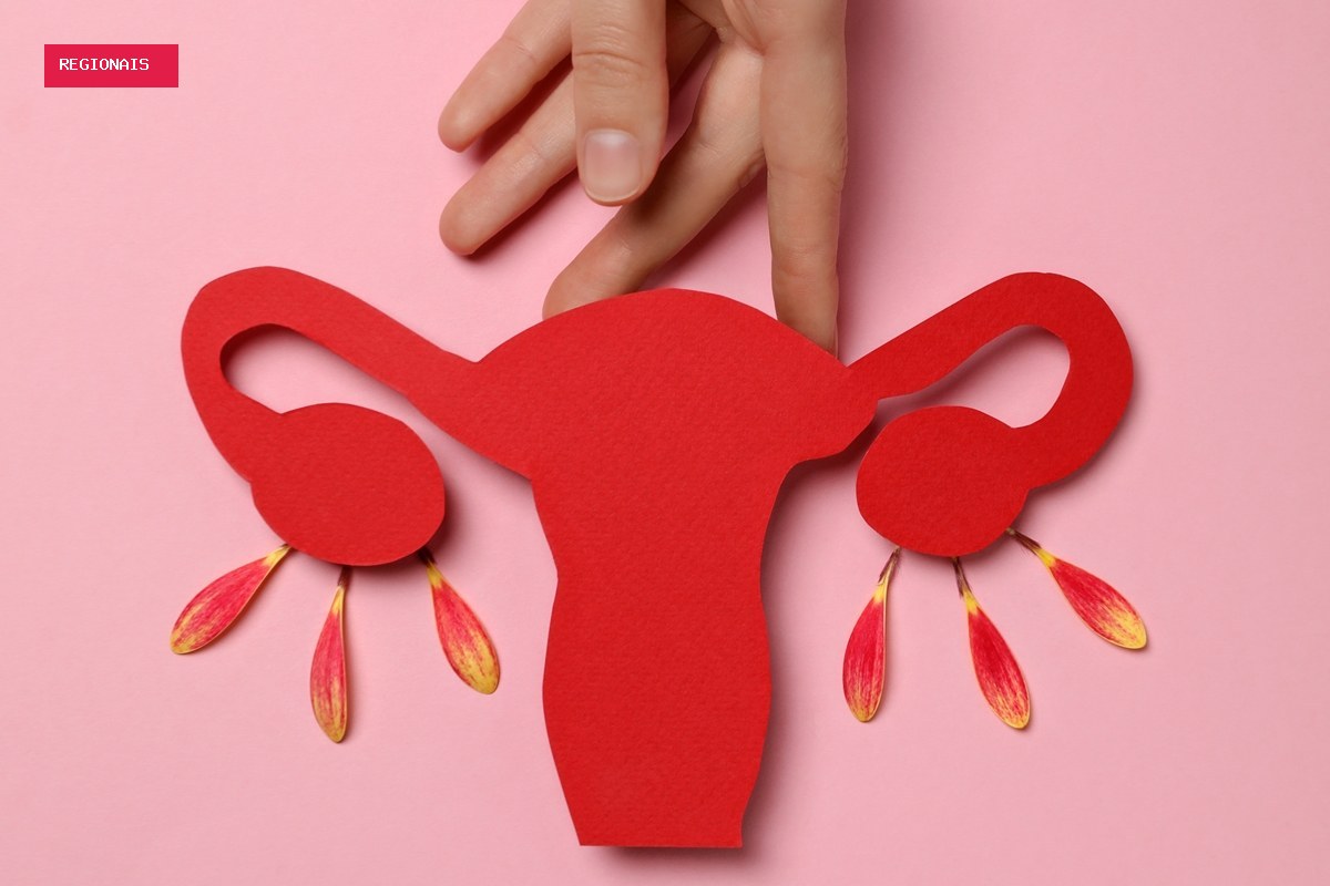 Estudo da USP testa reposição hormonal direcionada durante a menopausa