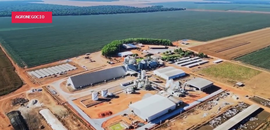 Menos de um mês para a Abertura Nacional do Plantio da Soja 26/27: saiba como acompanhar o evento!