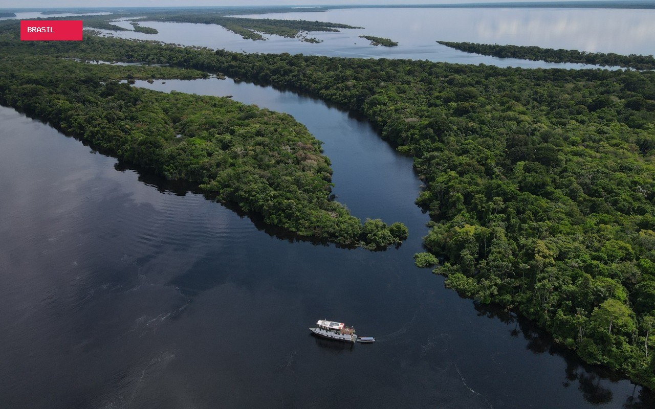 Anavilhanas: conheça o arquipélago na Amazônia que muda de paisagem a cada seis meses