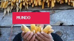 Os graves efeitos do 'Super El Niño' na América Latina previstos pelos cientistas