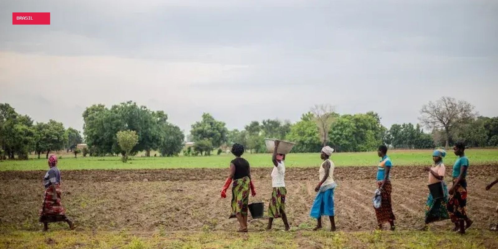 Grande Muralha Verde restaura 1,66 milhão de hectares na África
