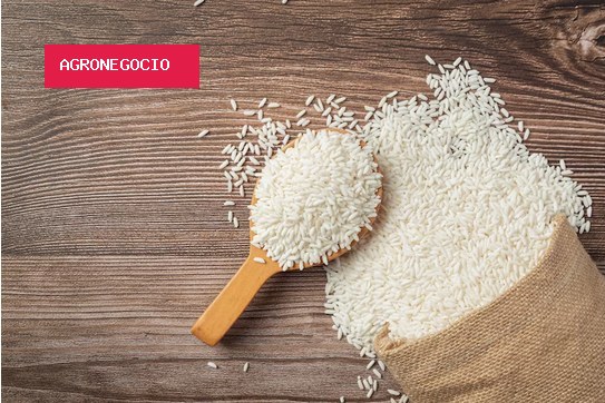 Arroz sobe 22% no RS com oferta mais enxuta e temor de El Niño, diz Itaú BBA