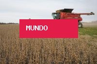 Importações de soja ​pela China em julho caíram 1,6% ​em relação a 2025