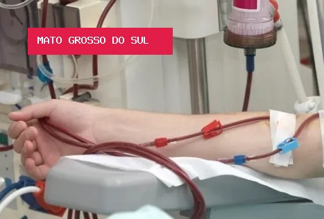 Ação gratuita alerta para doença renal e mostra vida além da diálise