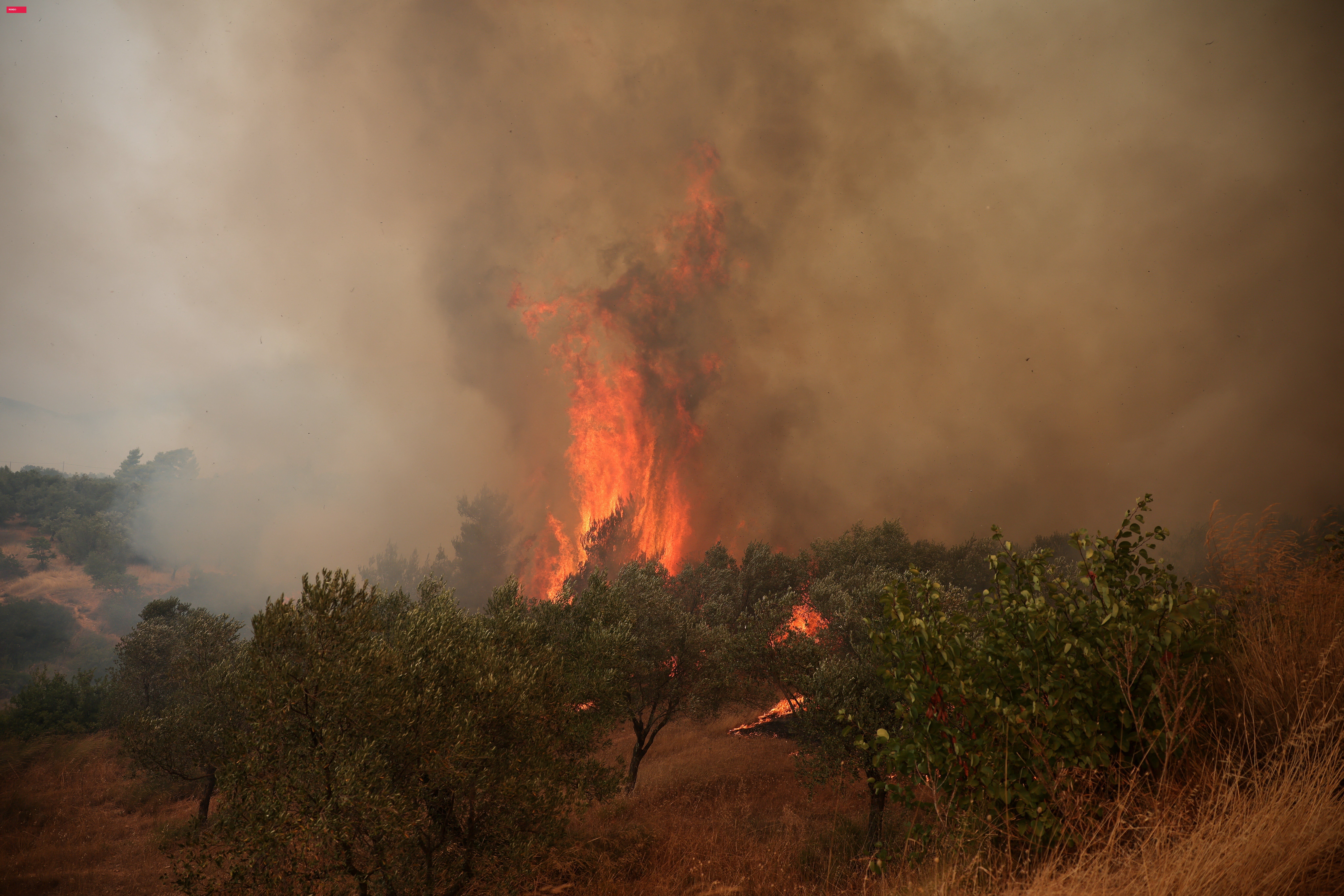 Incêndio florestal deixa o céu no norte da Grécia dominado por fumaça preta; VÍDEO