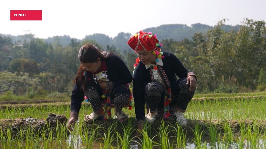 Vietnam's indigenous Hmong people forced to adapt to climate crisis