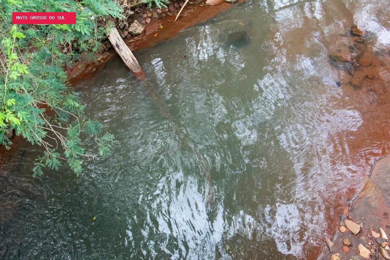 Mau cheiro e morte de peixes levam MP a apurar poluição no Córrego Imbirussu