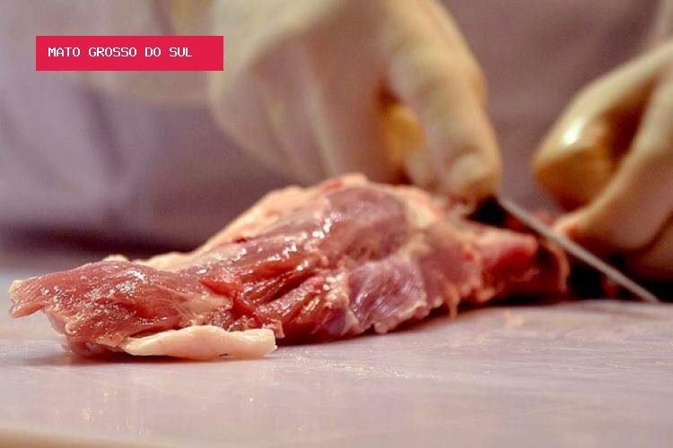 Exportações de carne aumentam 47,9% em MS