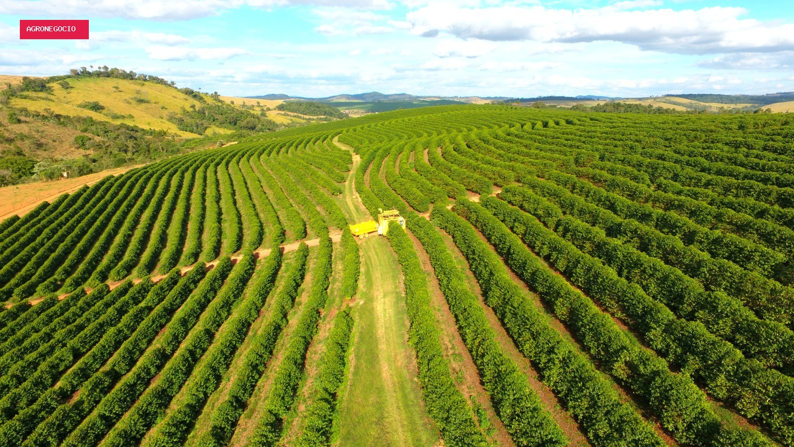 Café: entenda como inverno atípico e chuvoso em julho pode impactar exportação e qualidade da bebida