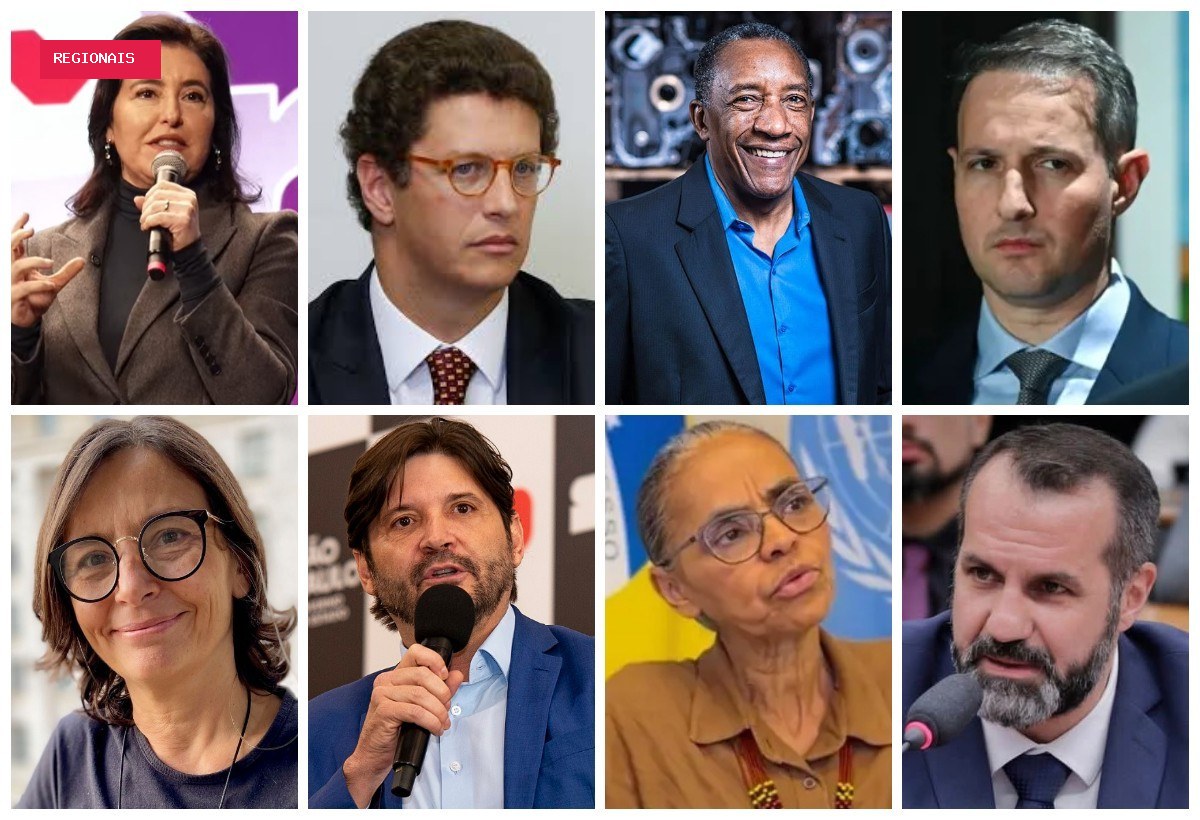 Tebet, Salles e Geraldo Rufino declaram os maiores patrimônios entre os candidatos ao Senado por SP; Marina
